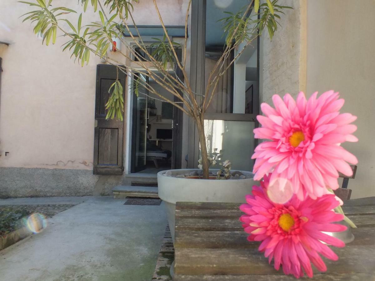 Loft Garden In Bologna'S Heart Ospedale Rizzoli Bolonha Exterior foto